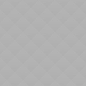 grey_05 Chester Higgins